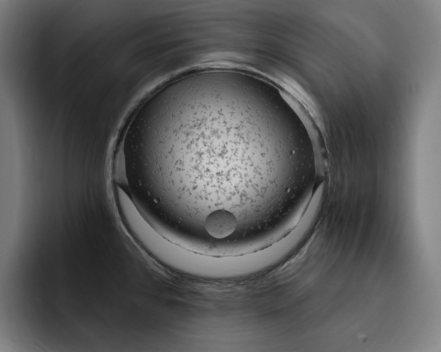 X0000093261384200710101451