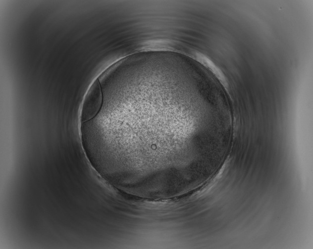 X0000093261386200710101451