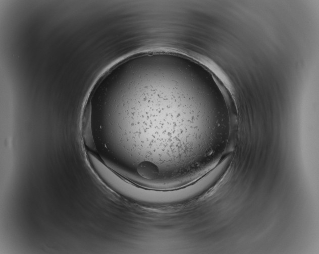 X0000093261388200710101451