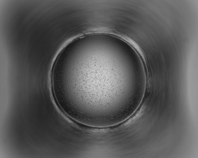 X0000093261389200710101451