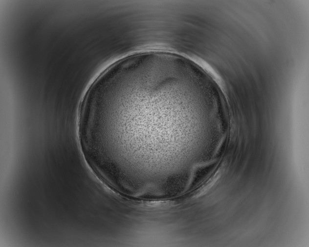 X0000093261390200710101451