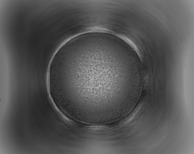 X0000093261391200710101451