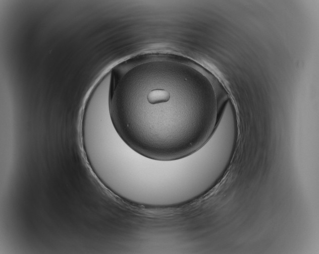 X0000093261392200710101451