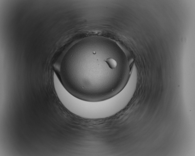 X0000093261394200710101450