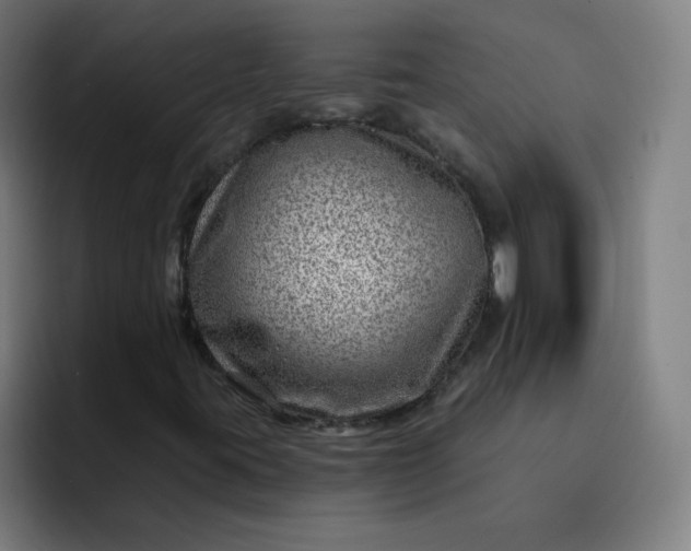 X0000093261395200710101450