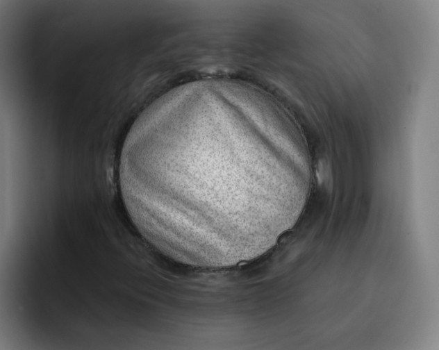 X0000093261396200710101450