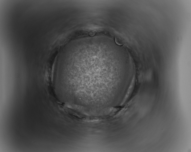 X0000093261397200710101450