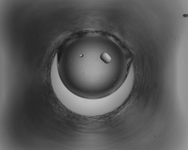 X0000093261398200710101450