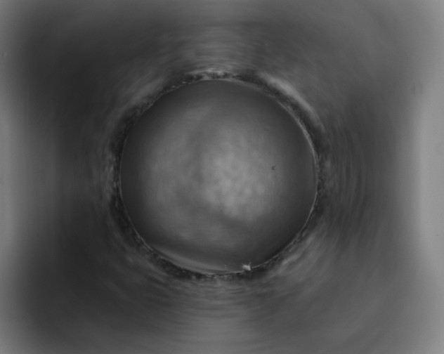 X0000093261399200710101450