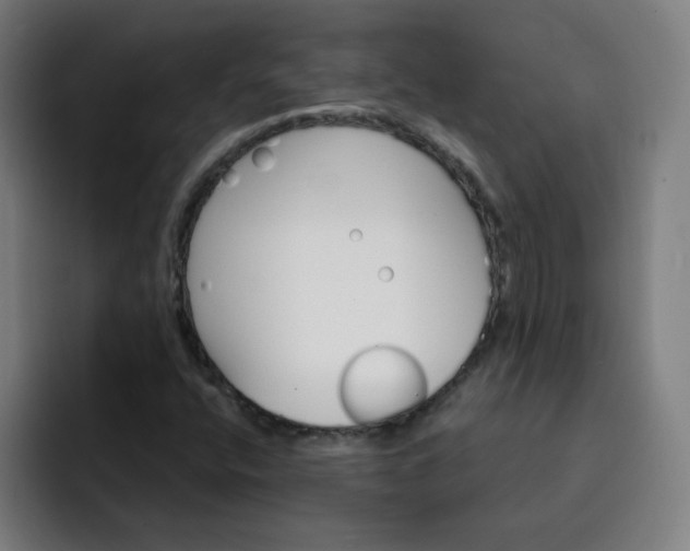 X0000093261400200710101450