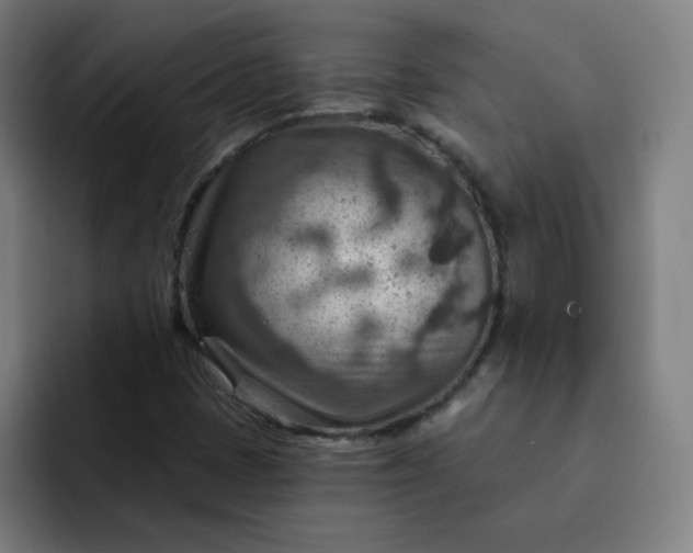 X0000093261401200710101450