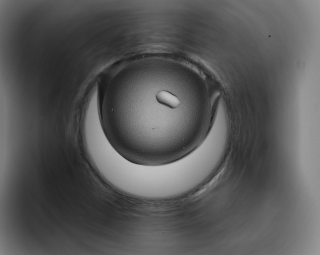 X0000093261402200710101450