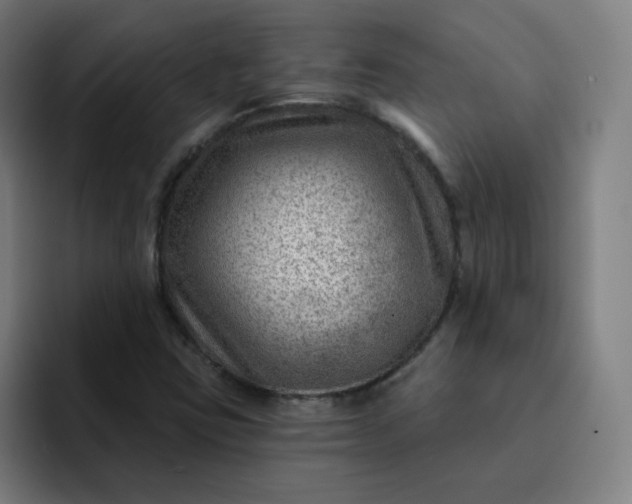 X0000093261403200710101450