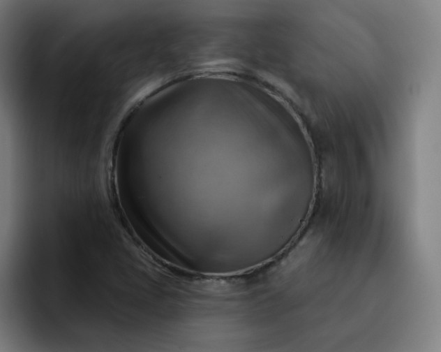 X0000093261405200710101450