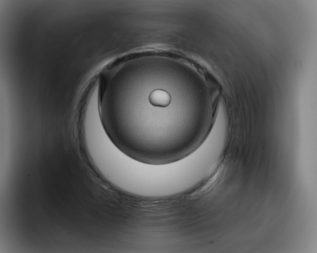 X0000093261406200710101450