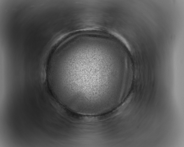 X0000093261407200710101450