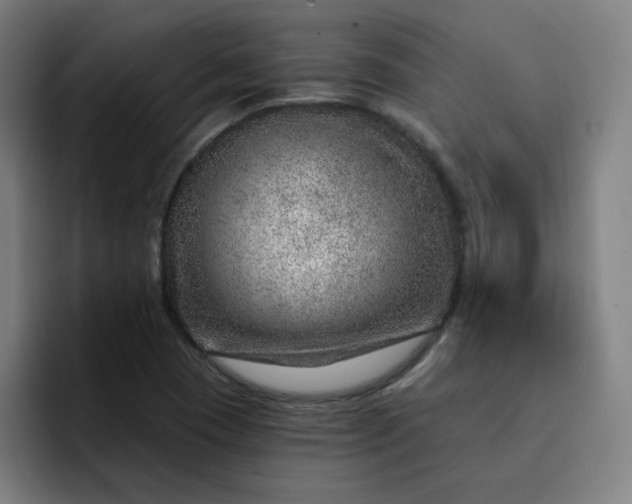 X0000093261409200710101450