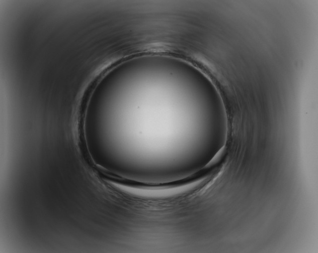 X0000093261410200710101450