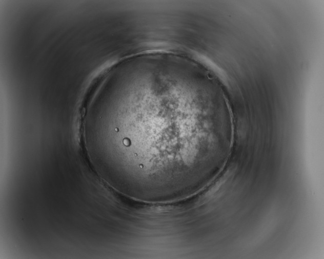 X0000093261411200710101450