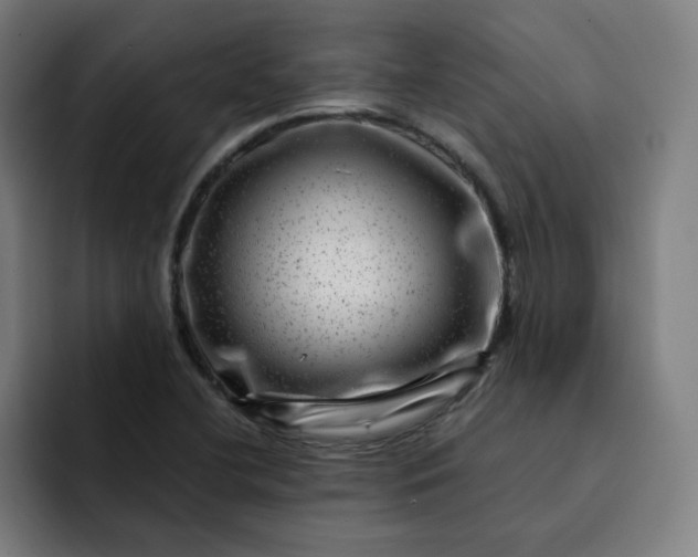 X0000093261412200710101451