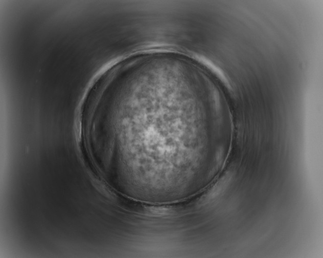 X0000093261413200710101451