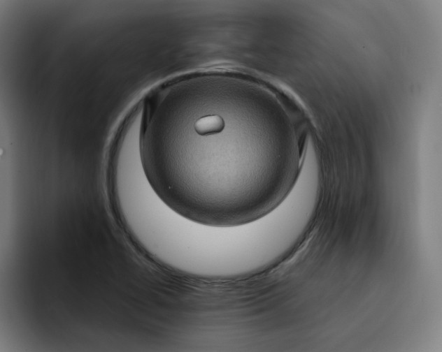 X0000093261414200710101451