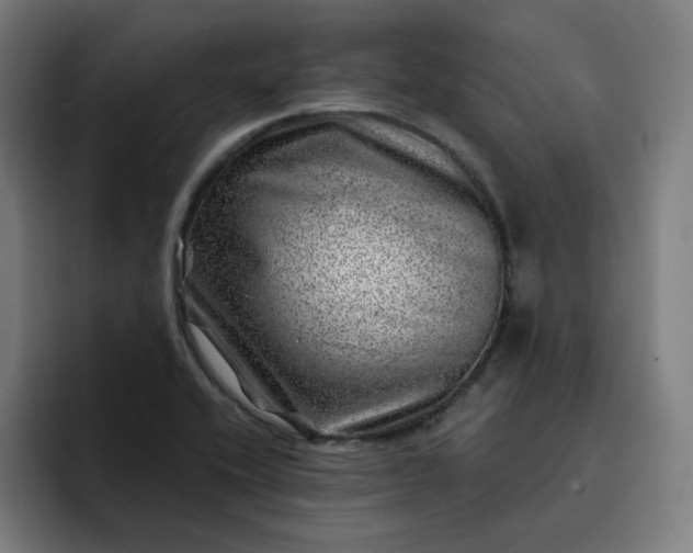 X0000093261416200710101451