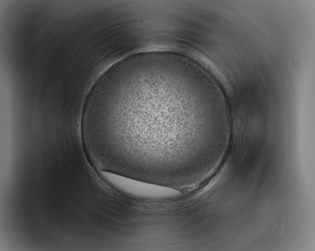 X0000093261417200710101451