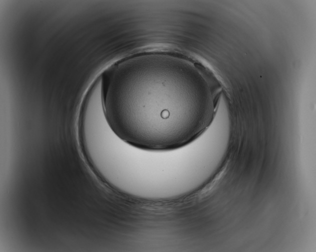 X0000093261418200710101451