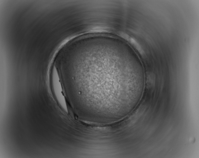 X0000093261419200710101451