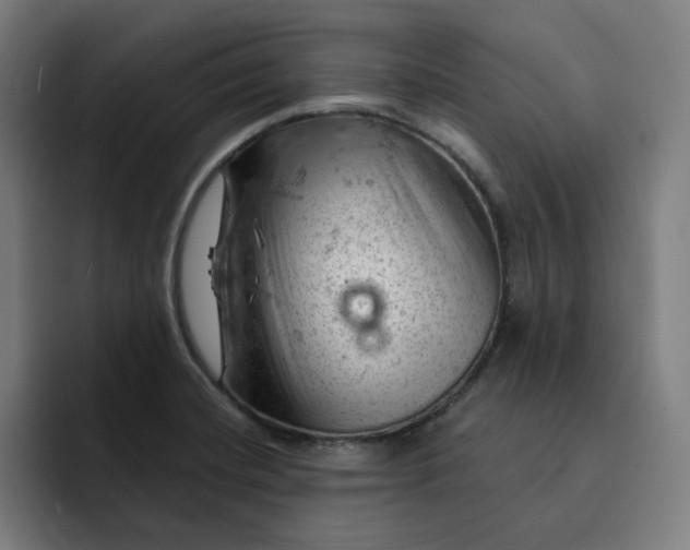 X0000093261420200710101451