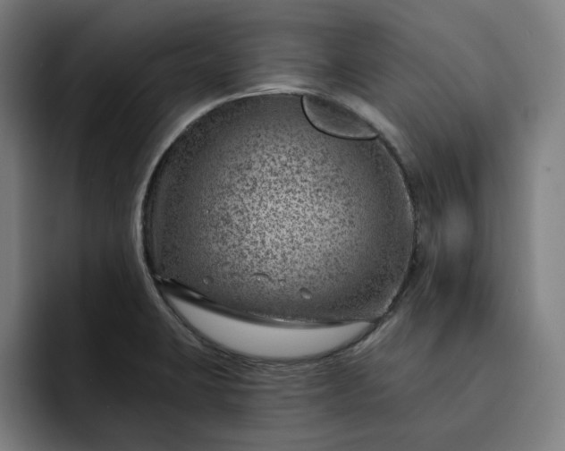 X0000093261423200710101451