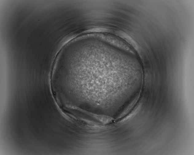 X0000093261425200710101451