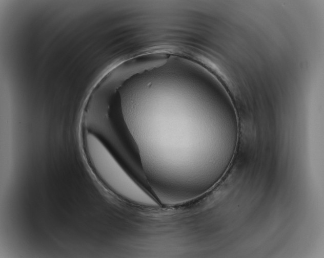 X0000093261426200710101451