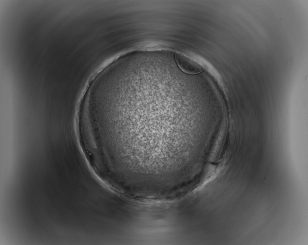 X0000093261429200710101451