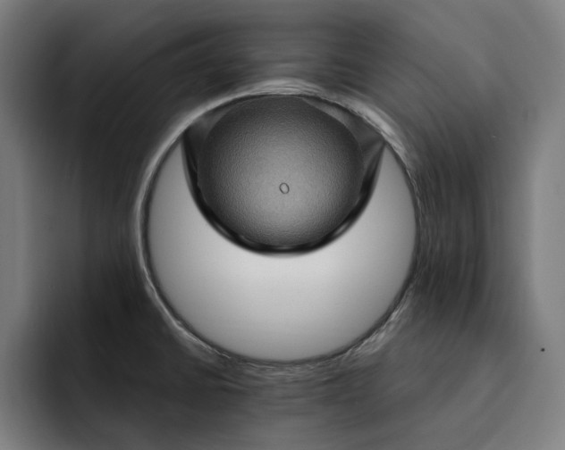 X0000093261430200710101451