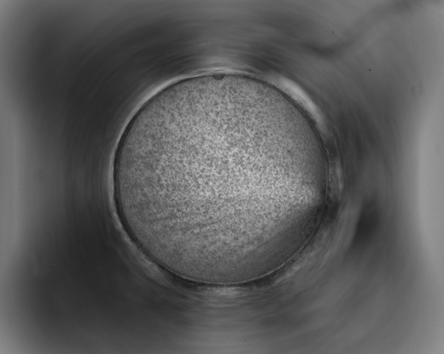 X0000093261431200710101451