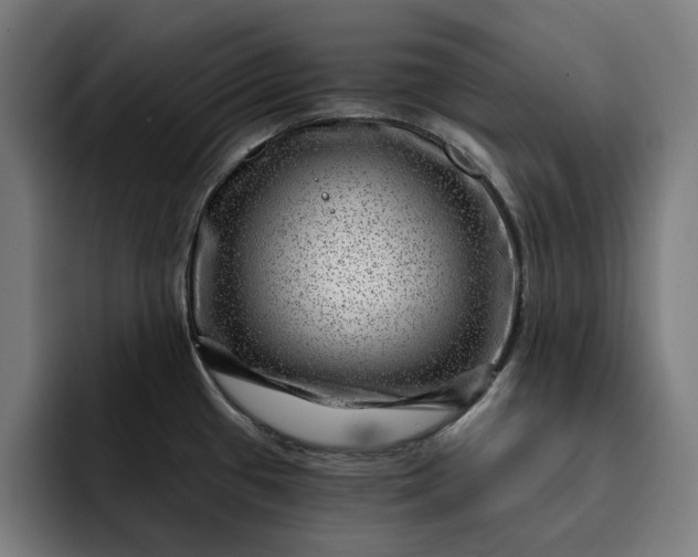 X0000093261433200710101451