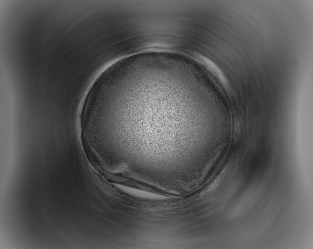 X0000093261435200710101451