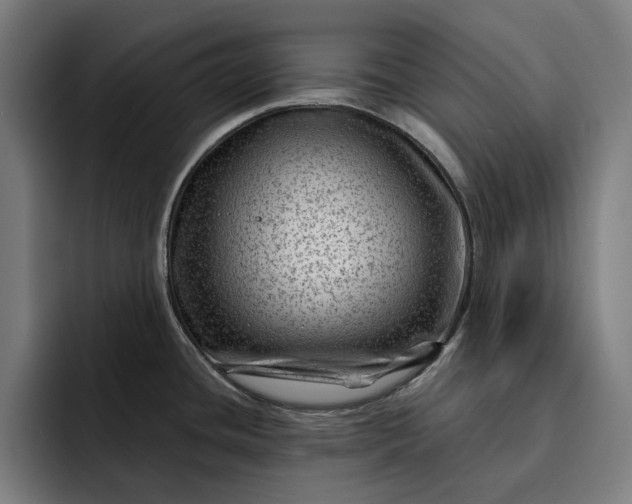 X0000093261436200710101451