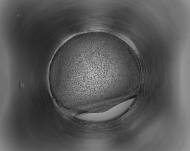 X0000093261439200710101451