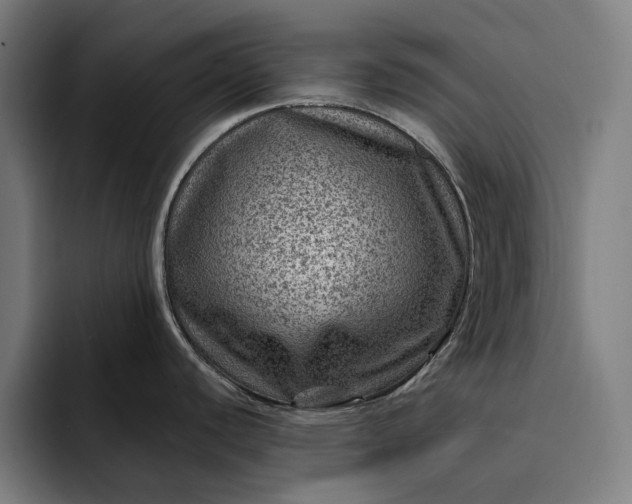 X0000093261440200710101451