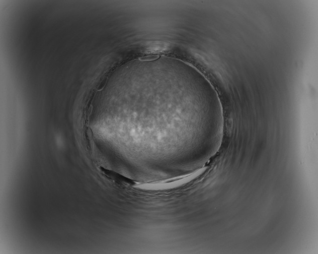 X0000093261441200710101450