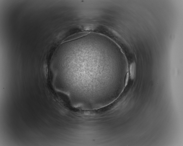 X0000093261443200710101450