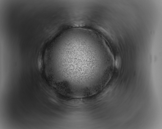 X0000093261444200710101450