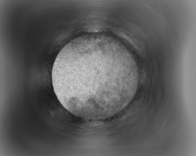 X0000093261446200710101450