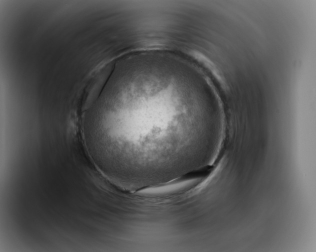 X0000093261449200710101450