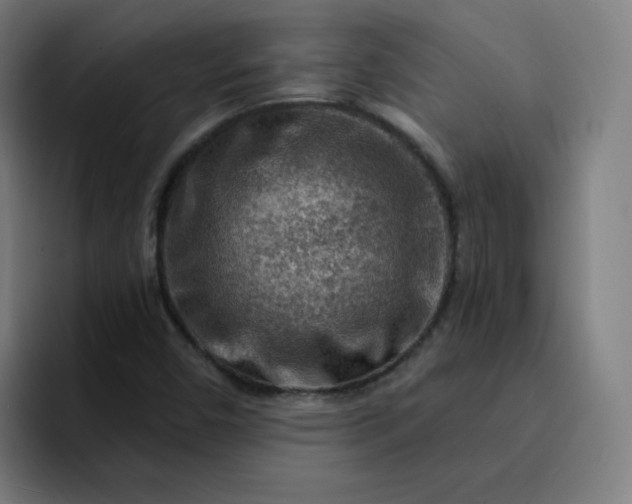 X0000093261450200710101450