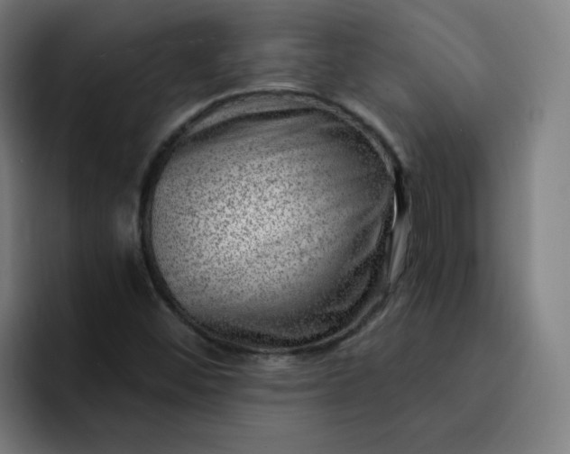 X0000093261452200710101450