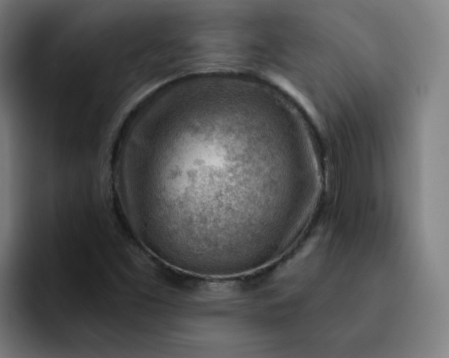 X0000093261453200710101450